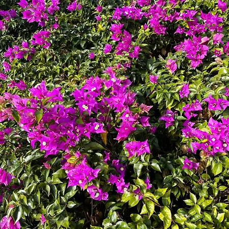 Appartamento Splendida Vista Mare Zona Posto Auto Privato *